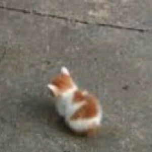 Meet your Posher, Derek